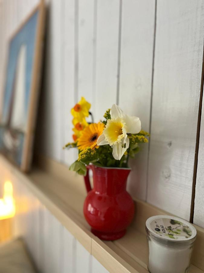 Bed and Breakfast Beemster Tiny House Zuidoostbeemster Exteriér fotografie